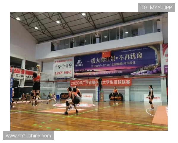 广州排球队技术实力强劲荣登全国排球技术排行榜第八名