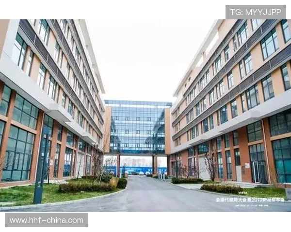 成都乒乓球队重塑辉煌之路的反击与创新策略探讨