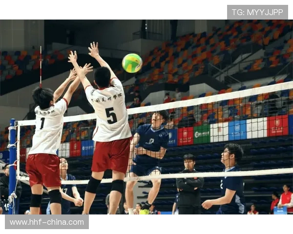 杭州排球队配合问题引发热议球迷与专家各执己见的背后故事