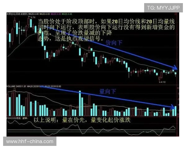 猛龙与黄蜂对决分析大小分走势及投注建议探讨 猛龙与黄蜂对决分析大小分走势及投注建议探讨