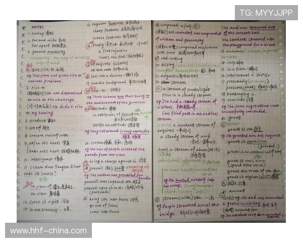 重庆极限运动队在全国灵活性排行榜中荣获第九名展现出色竞技实力与团队精神