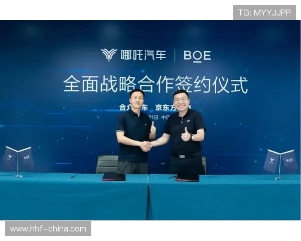 专访杨磊深入探讨CSGO成功背后的策略与秘诀