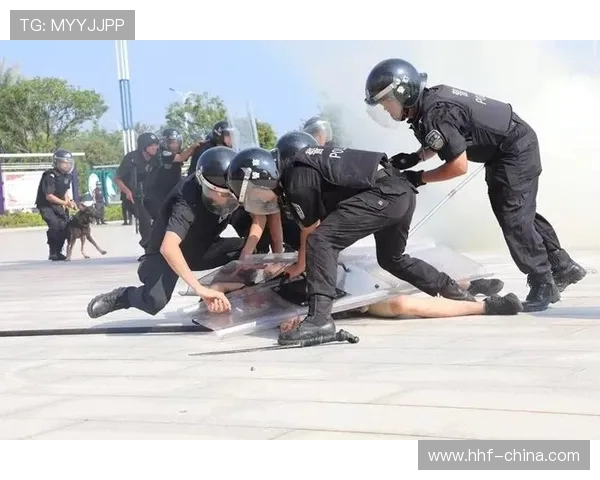 杭州滑板队中路突破战术解析与实战应用探讨